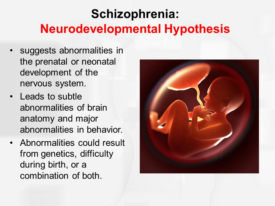 The Neurodevelopmental Hypothesis of Schizophrenia